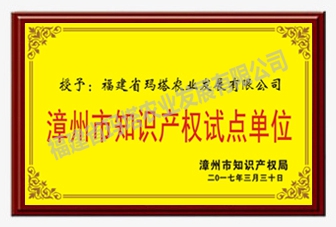 漳州知识产权试点单位.jpg